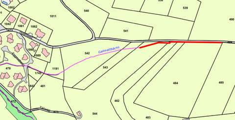 Hoelstein-250616-Info-Gewässerunterhalt-Gallmattbächli Hoelstein-250616-Info-Gewässerunterhalt-Gallmattbächli