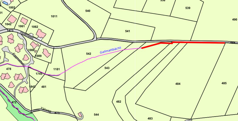 Hoelstein-250616-Info-Gewässerunterhalt-Gallmattbächli Hoelstein-250616-Info-Gewässerunterhalt-Gallmattbächli